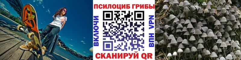 как найти наркотики  Благодарный  Галлюциногенные грибы Magic Shrooms 